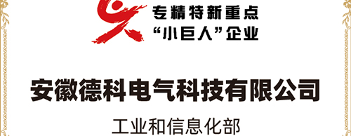 「小巨人 大分量」| 合乐HL8集团电气荣获“国家专精特新重点小巨人企业”称号！